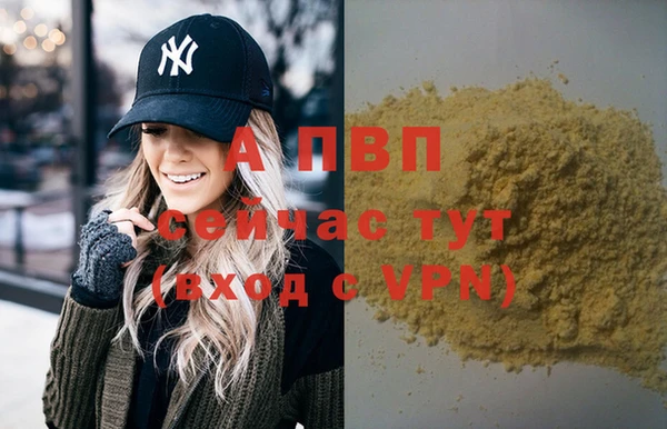 стаф Волосово