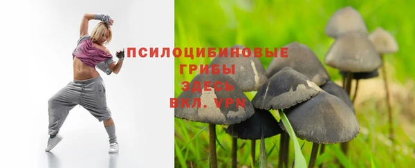 apvp Струнино
