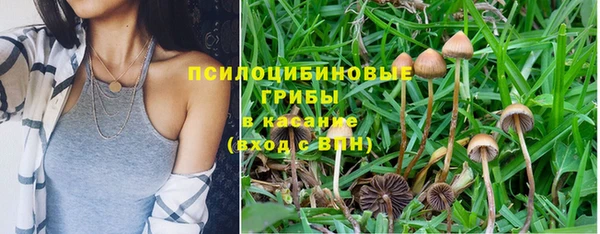 стаф Волосово