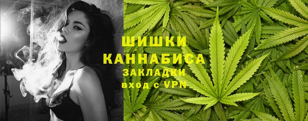 стаф Волосово