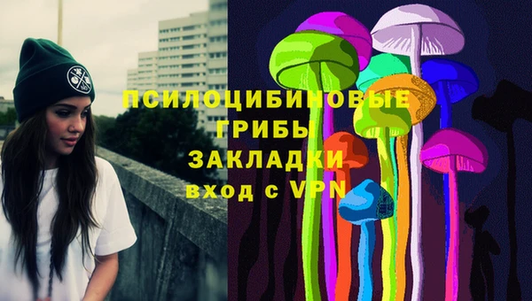 стаф Волосово