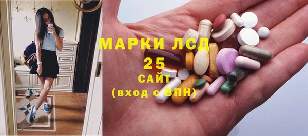 дживик Володарск