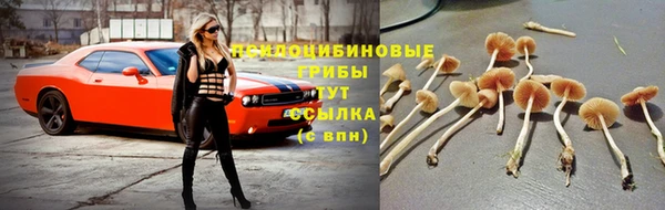 mdpv Волоколамск
