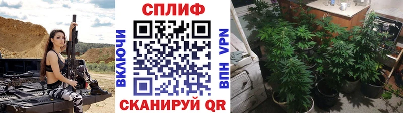 Конопля Ganja Снежинск